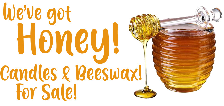 Honey & Wax Products for Sale