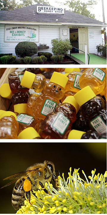 Bee building